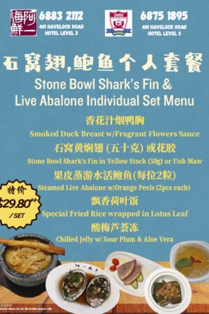Stone Bowl Shark's Fin & Live Abalone Individual Set Menu